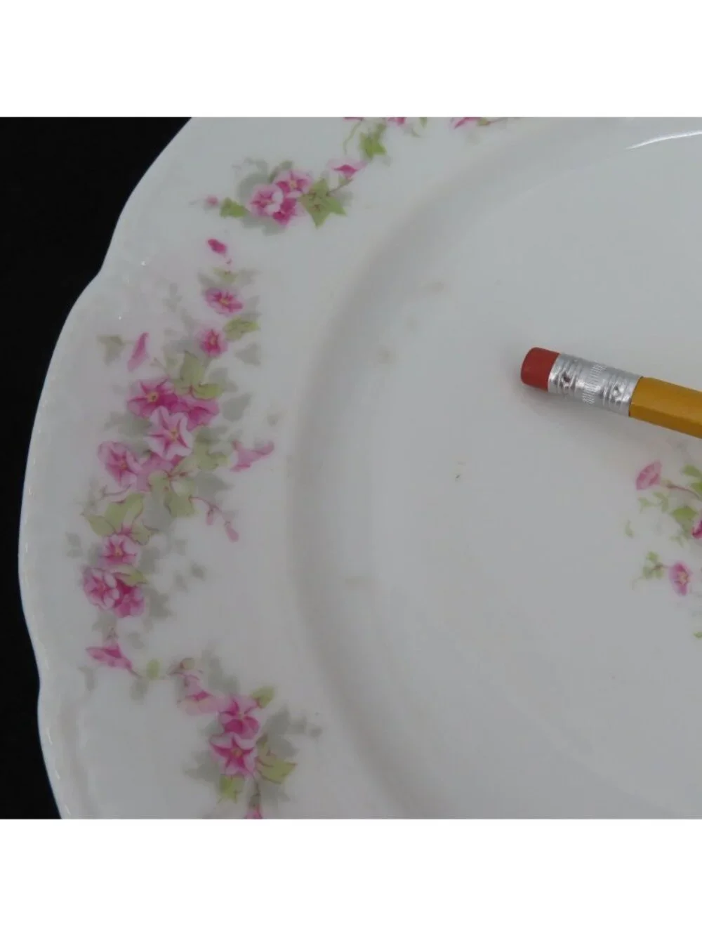 VTG Bassett Limoges 2 Plates 9.6in Pink Floral Flower Swag Chic Austria Chic